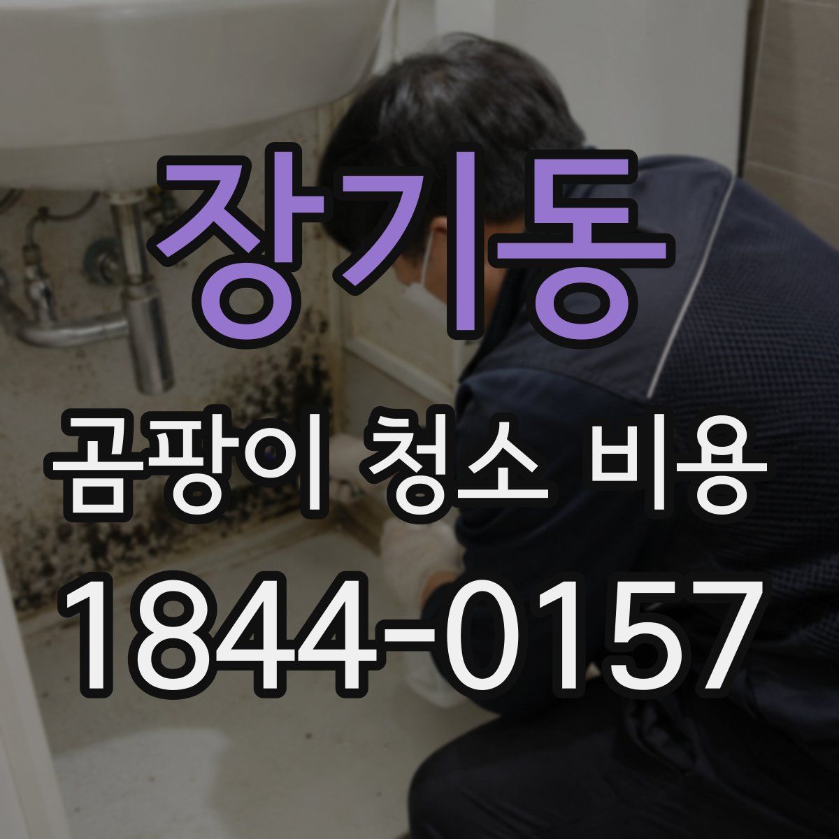 장기동 곰팡이 청소 비용