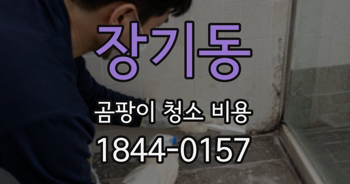 장기동 곰팡이 청소 비용