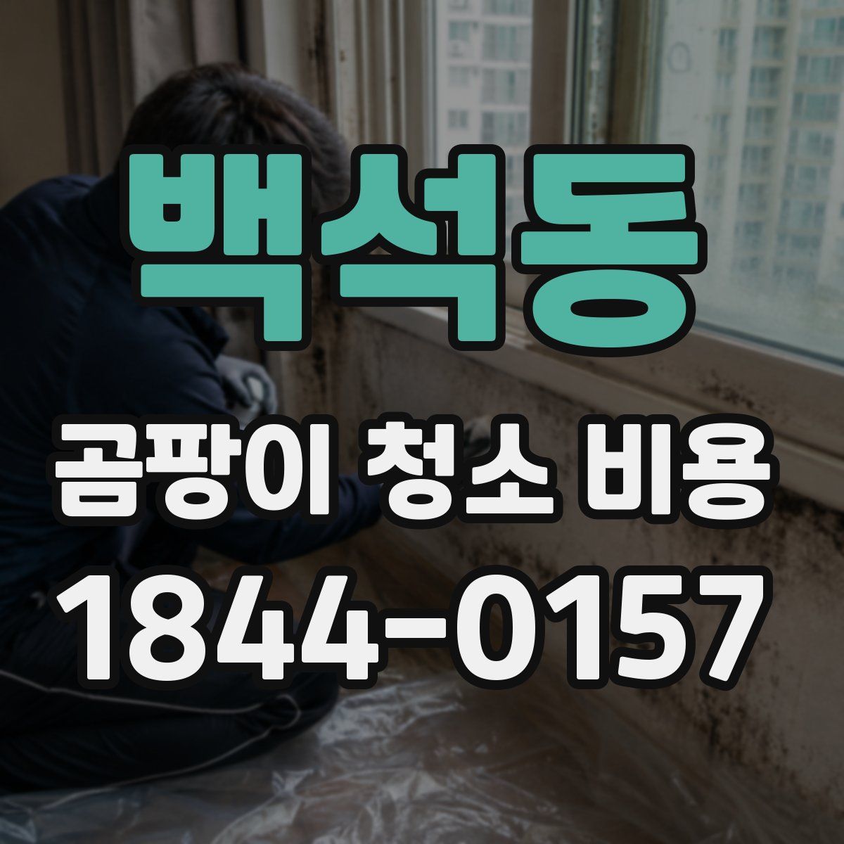 백석동 곰팡이 청소 비용