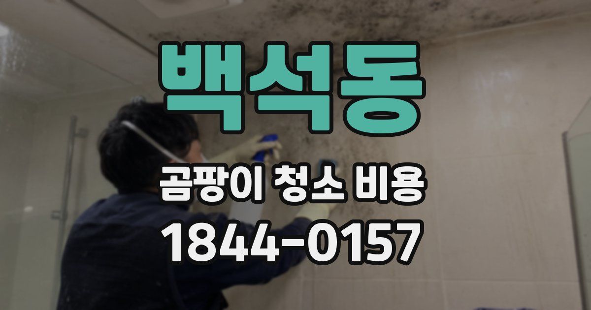 백석동 곰팡이 청소 비용