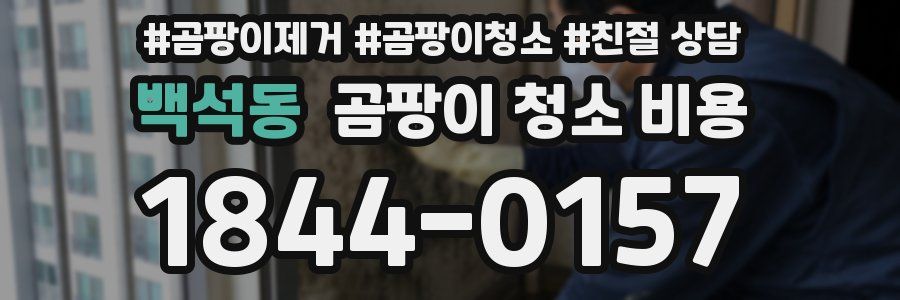 백석동 곰팡이 청소 비용