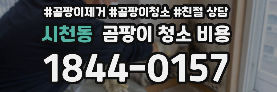 시천동 곰팡이 청소 비용