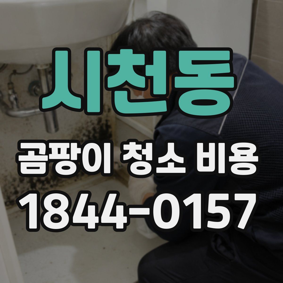 시천동 곰팡이 청소 비용