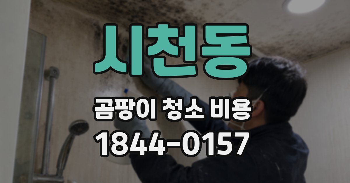 시천동 곰팡이 청소 비용