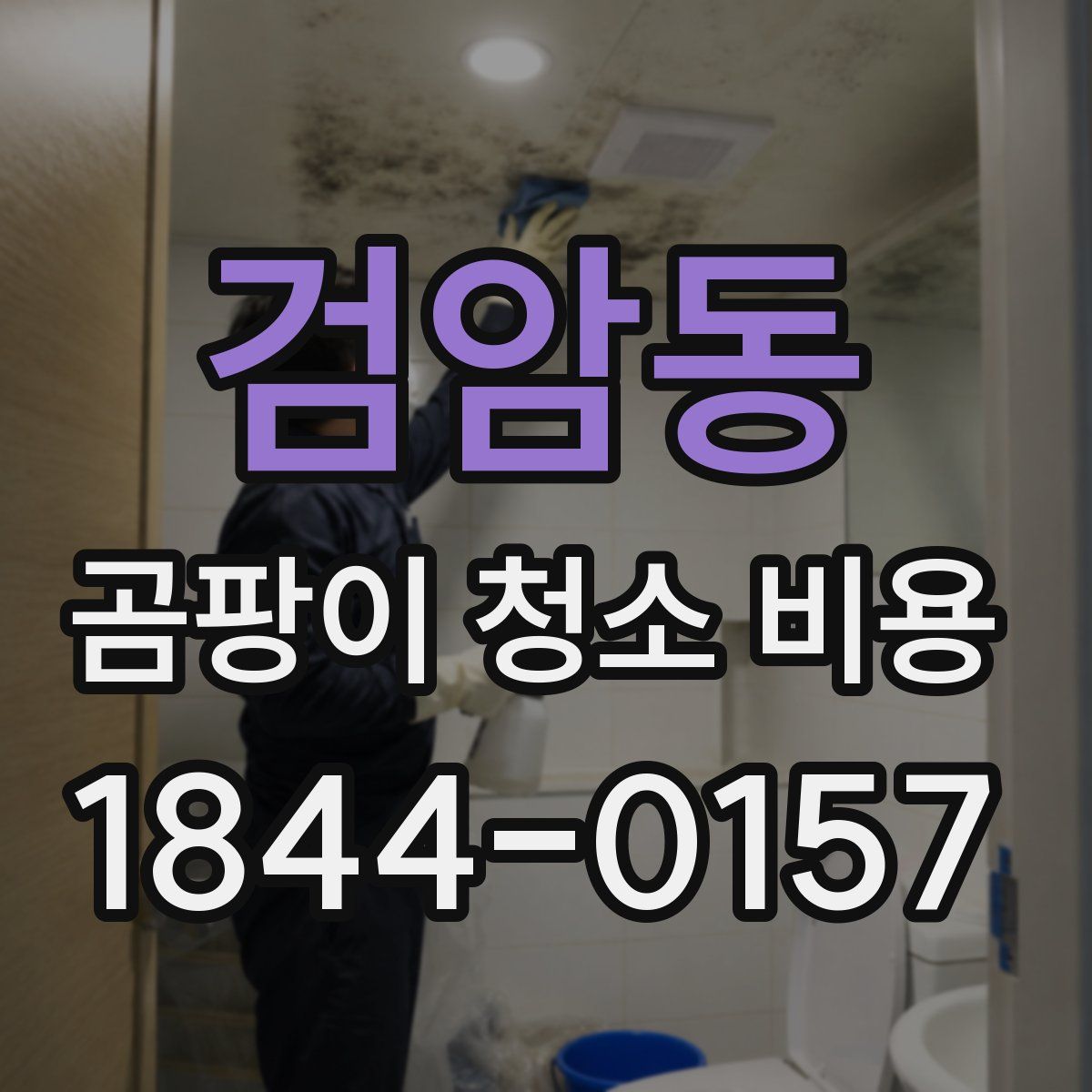 검암동 곰팡이 청소 비용
