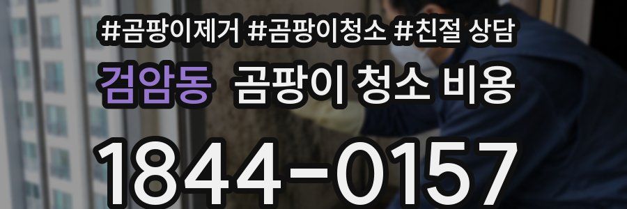 검암동 곰팡이 청소 비용