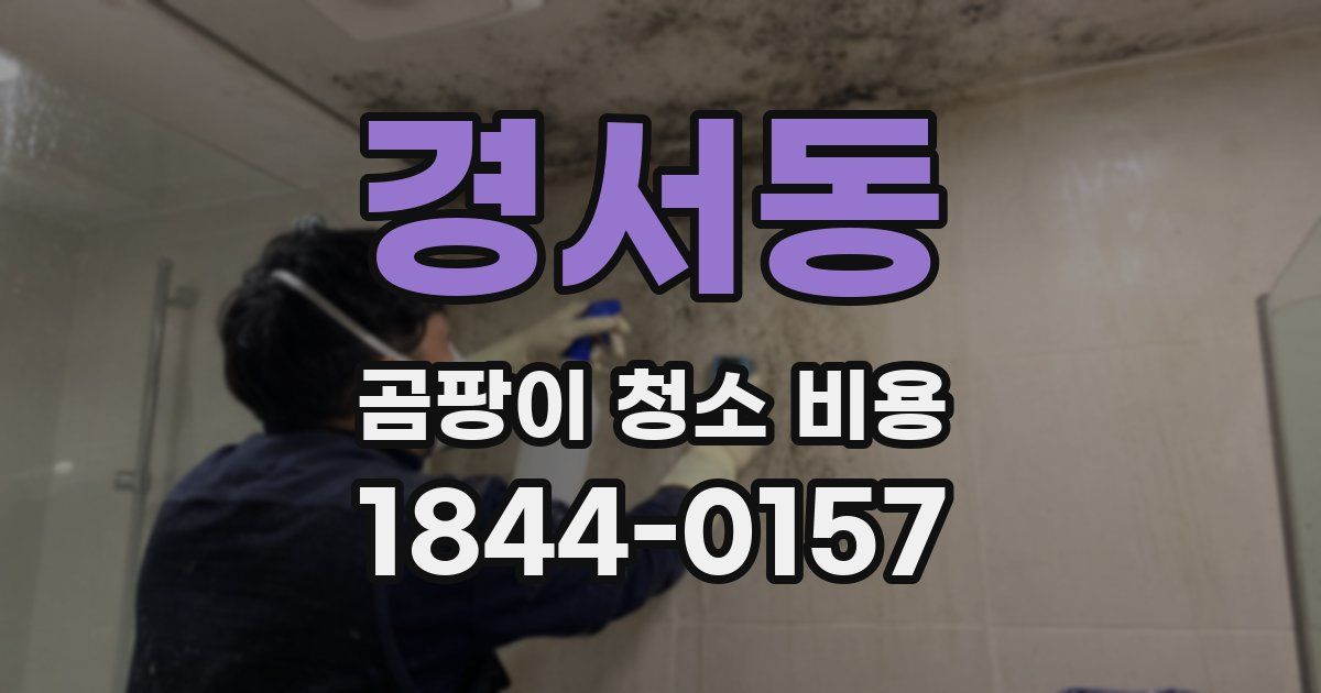 경서동 곰팡이 청소 비용