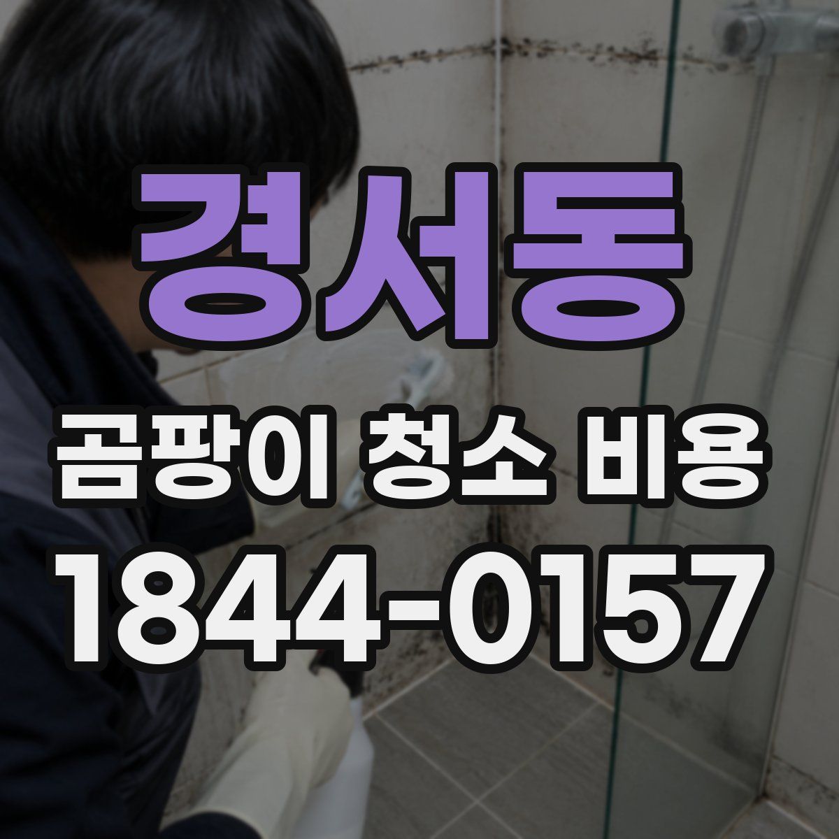 경서동 곰팡이 청소 비용