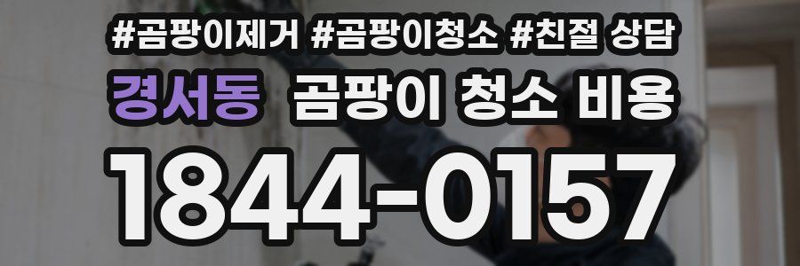 경서동 곰팡이 청소 비용
