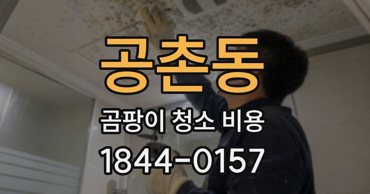 공촌동 곰팡이 청소 비용