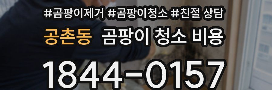 공촌동 곰팡이 청소 비용