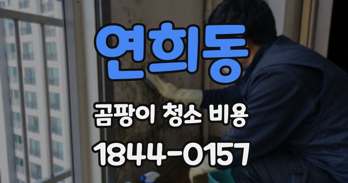 연희동 곰팡이 청소 비용
