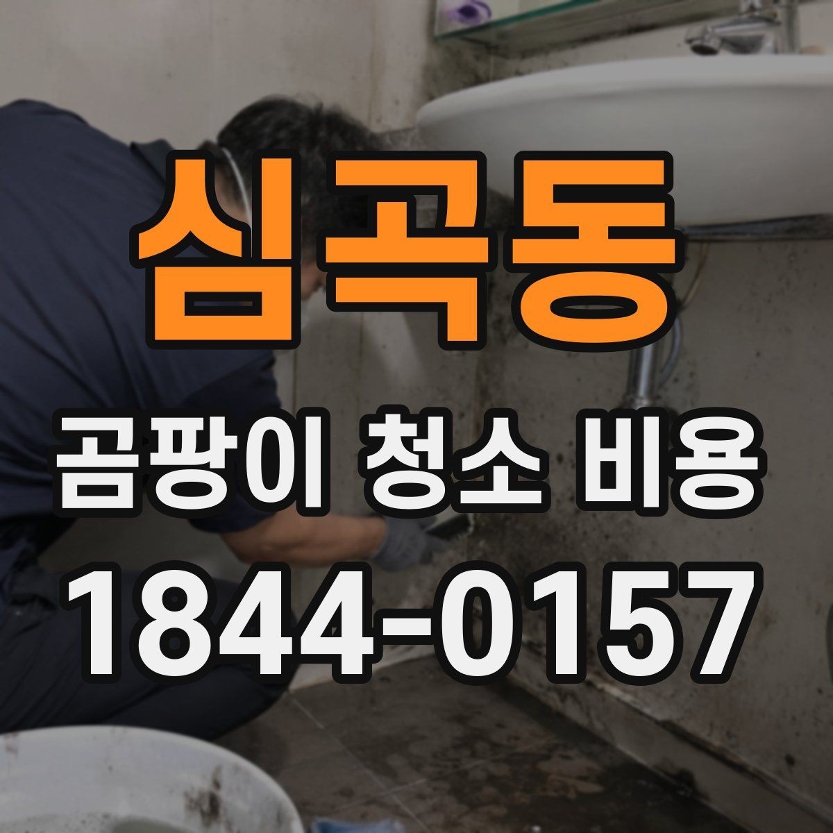 심곡동 곰팡이 청소 비용 산정 시 사진 견적 활용법