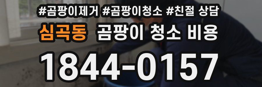 심곡동 곰팡이 청소 비용