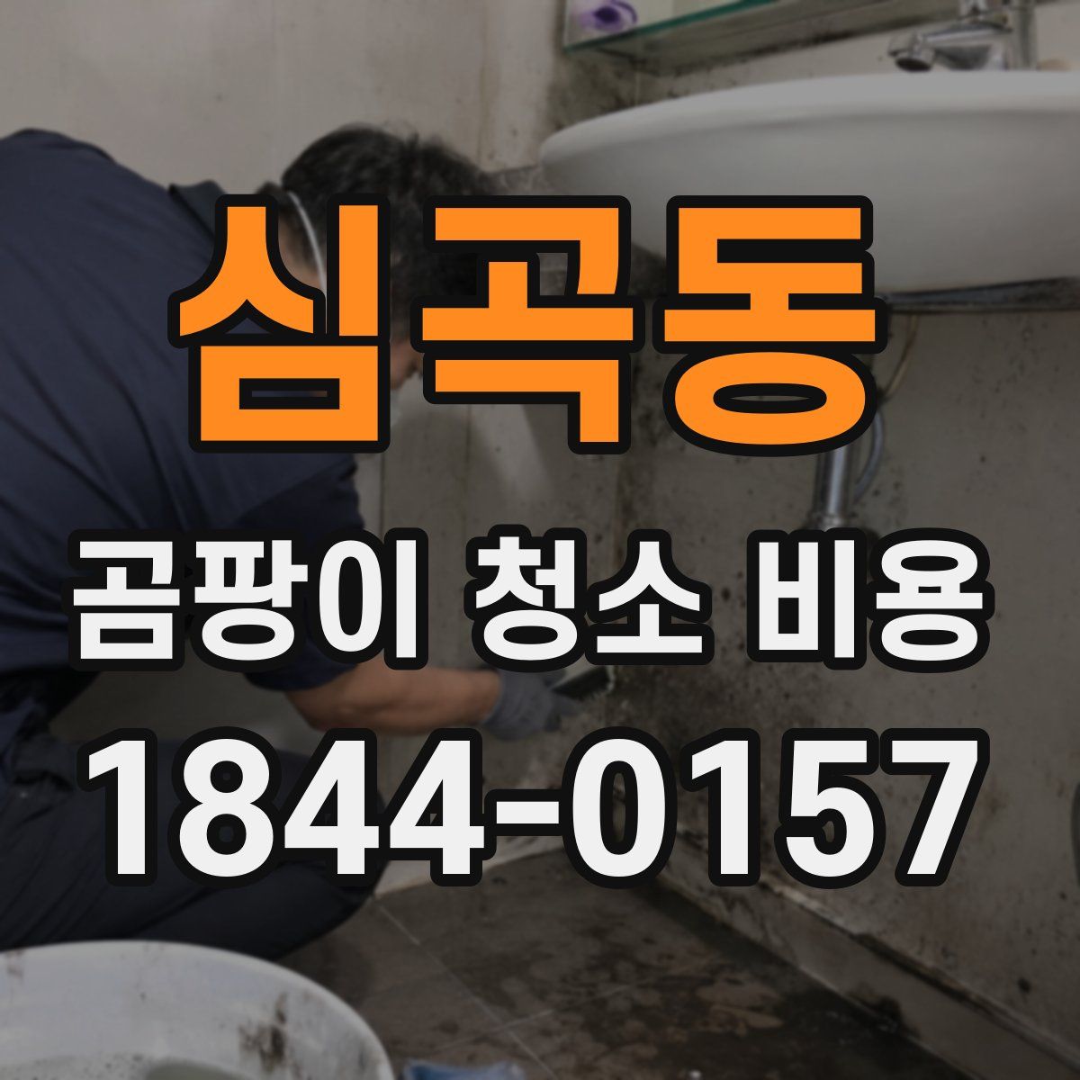 심곡동 곰팡이 청소 비용