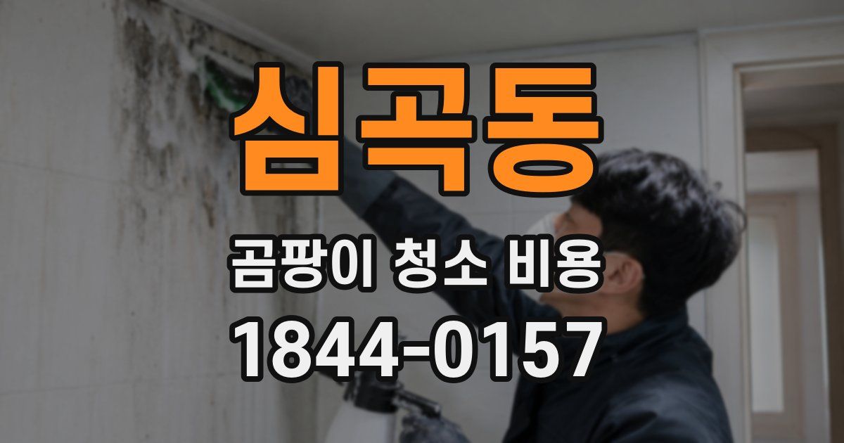 심곡동 곰팡이 청소 비용