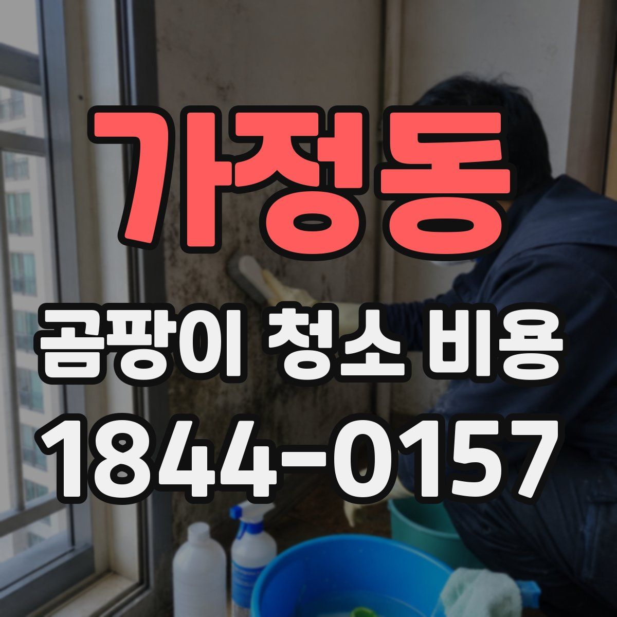 가정동 곰팡이 청소 비용