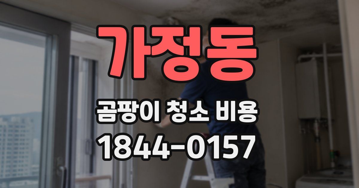 가정동 곰팡이 청소 비용