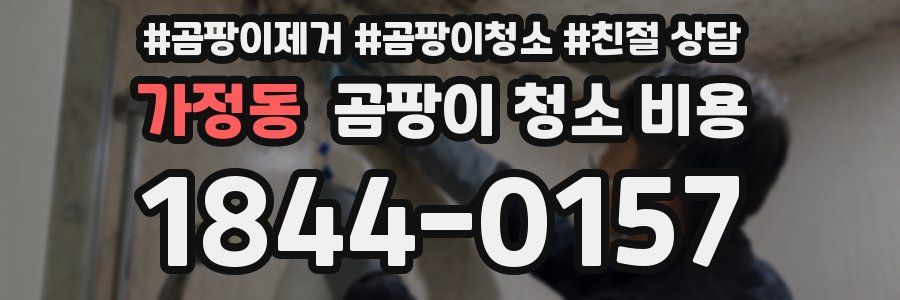 가정동 곰팡이 청소 비용