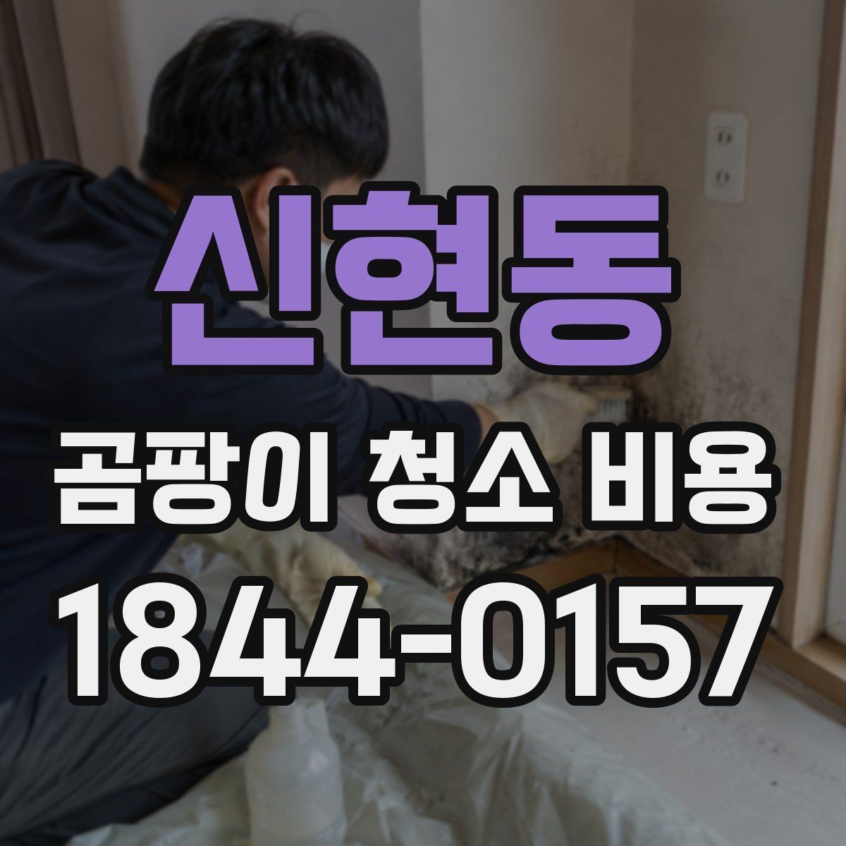 신현동 곰팡이 청소 비용 알아볼 때 먼저 보는 기준
