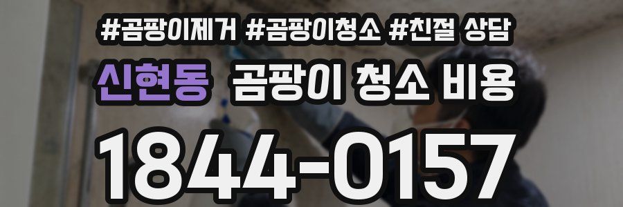 신현동 곰팡이 청소 비용