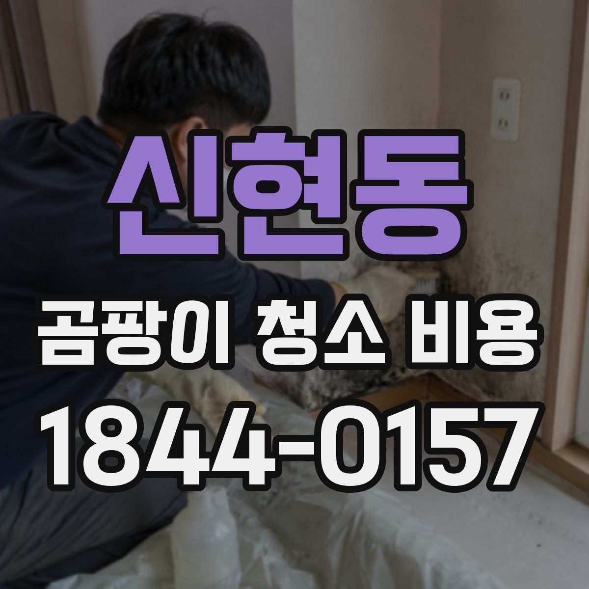 신현동 곰팡이 청소 비용