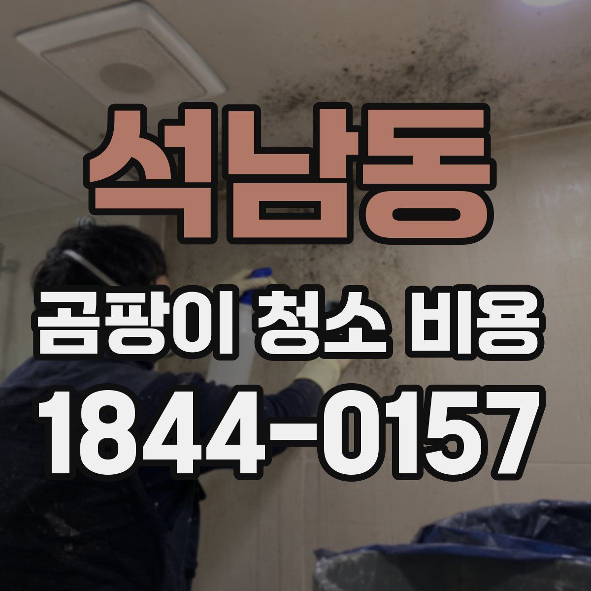 석남동 곰팡이 청소 비용