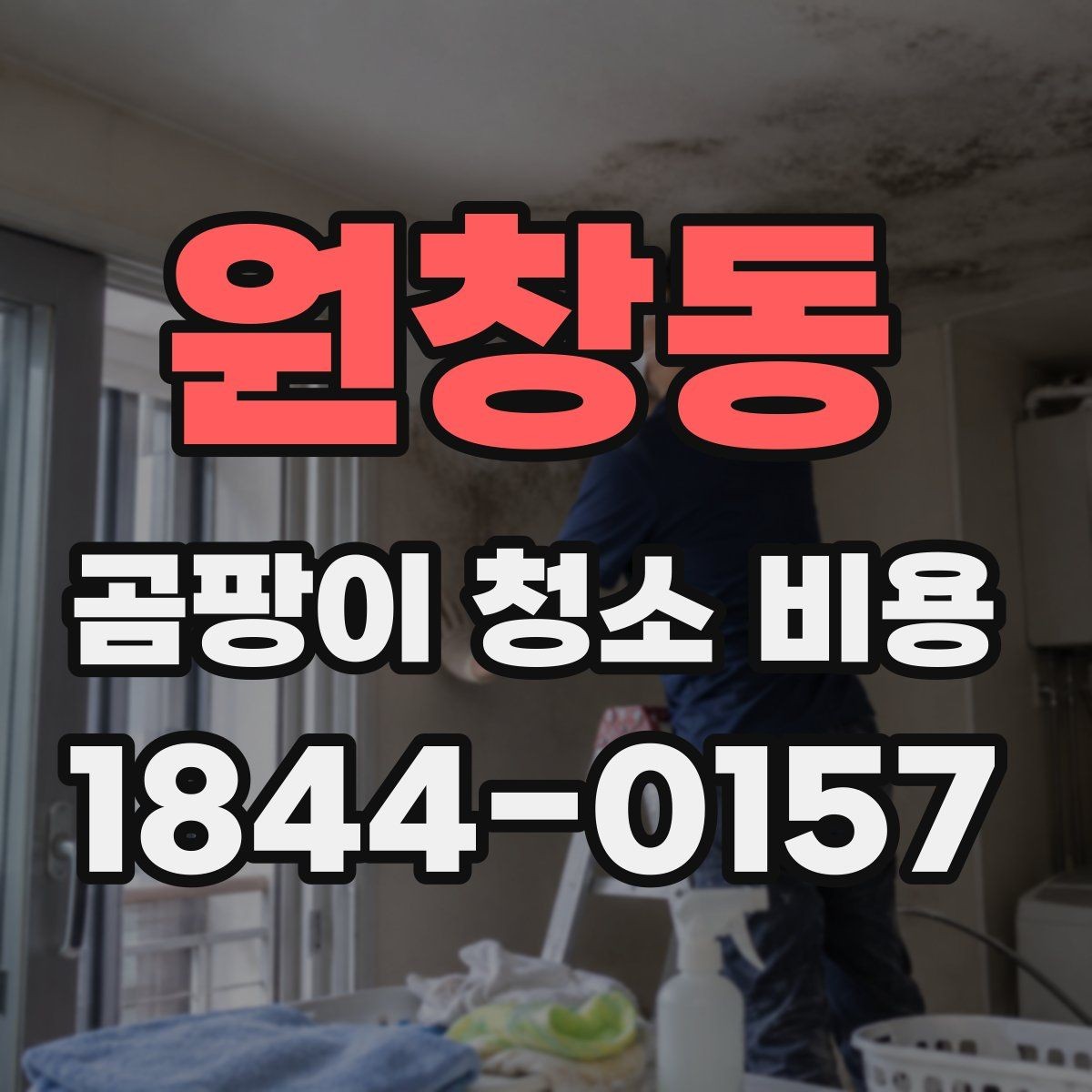 원창동 곰팡이 청소 비용 상담 후 결정까지의 흐름