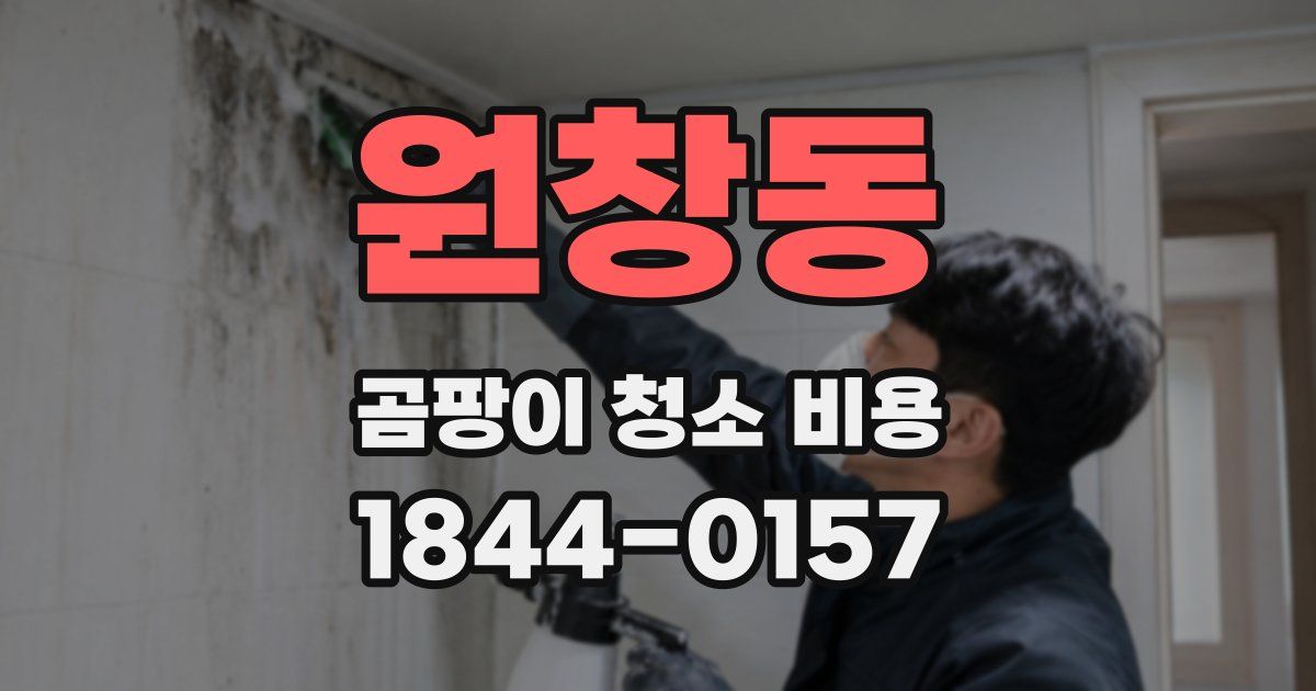 원창동 곰팡이 청소 비용