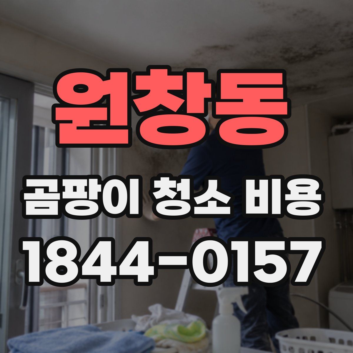 원창동 곰팡이 청소 비용