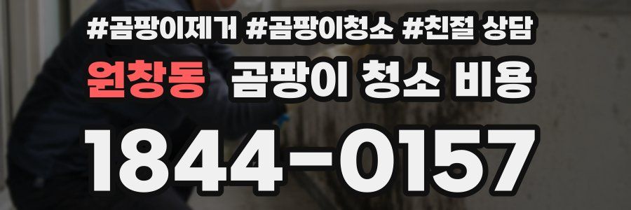 원창동 곰팡이 청소 비용