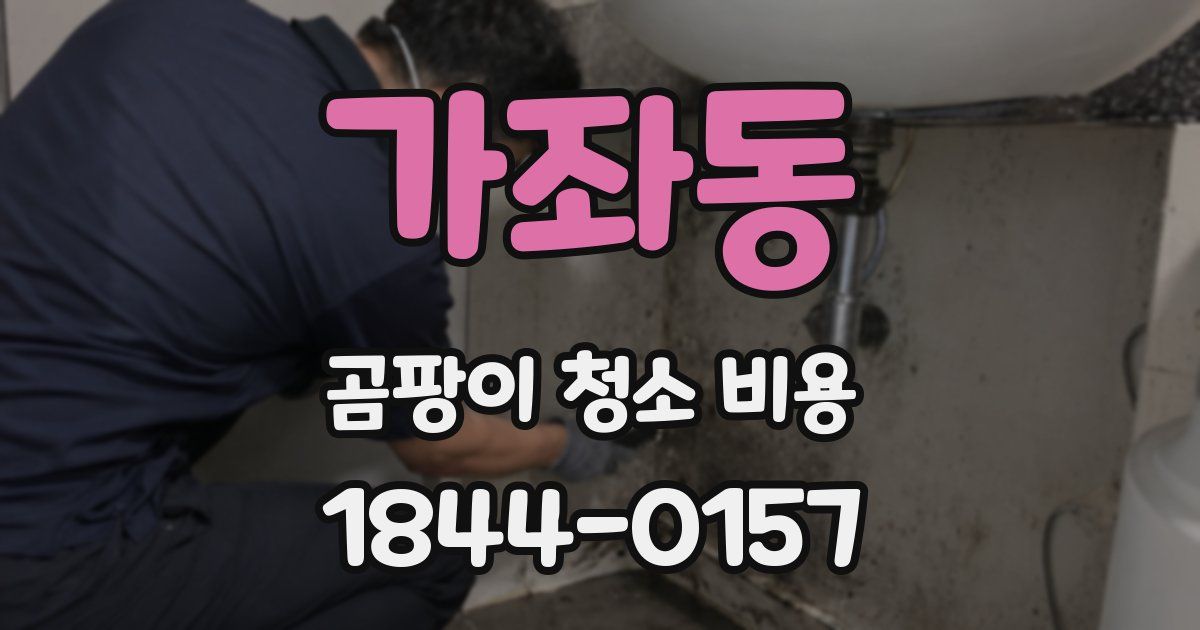 가좌동 곰팡이 청소 비용