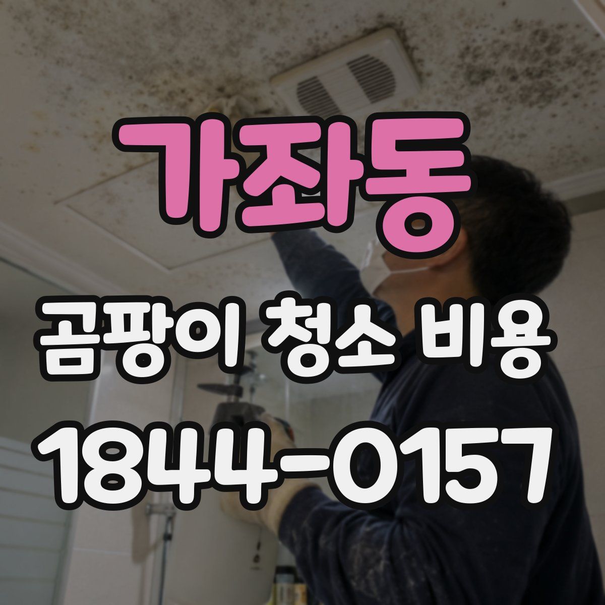 가좌동 곰팡이 청소 비용