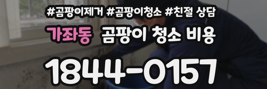 가좌동 곰팡이 청소 비용