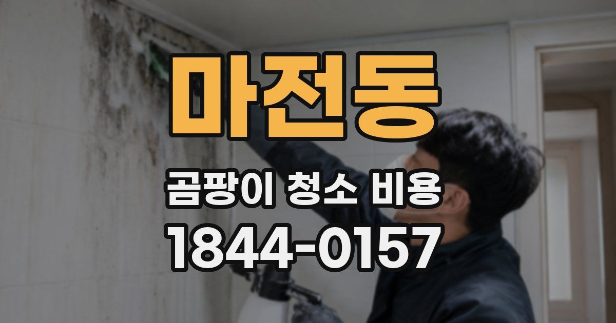 마전동 곰팡이 청소 비용