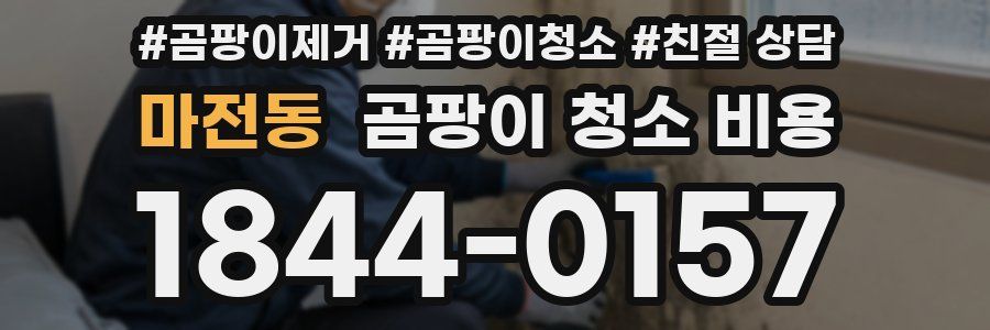 마전동 곰팡이 청소 비용