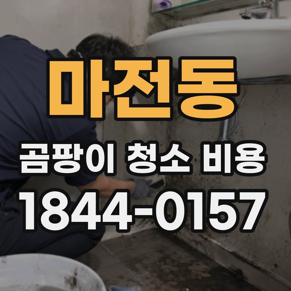 마전동 곰팡이 청소 비용