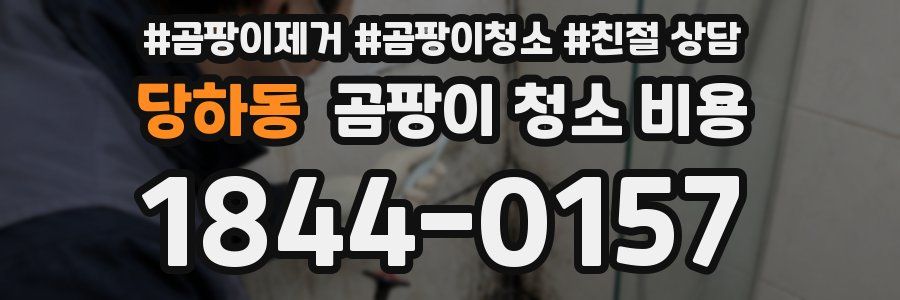당하동 곰팡이 청소 비용