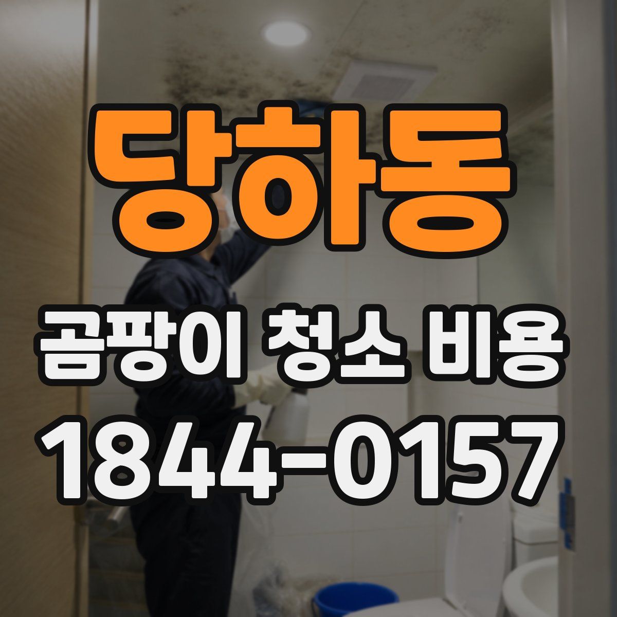 당하동 곰팡이 청소 비용