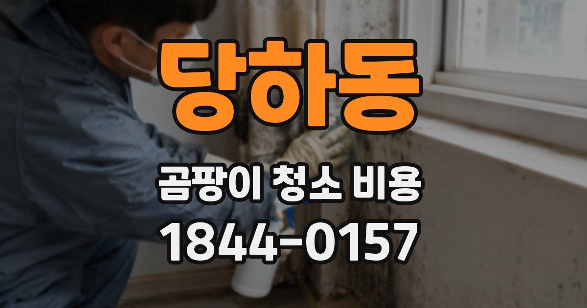 당하동 곰팡이 청소 비용