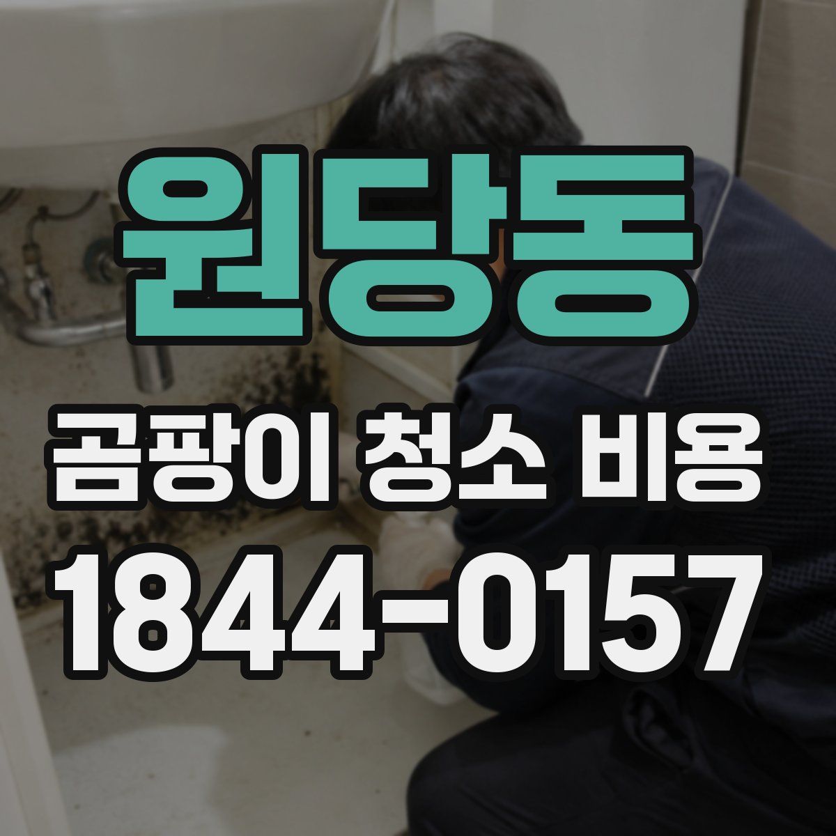 원당동 곰팡이 청소 비용