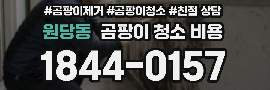 원당동 곰팡이 청소 비용