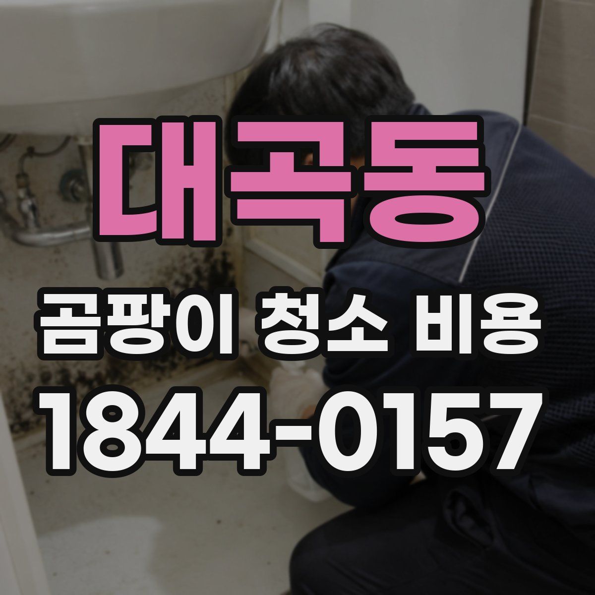 대곡동 곰팡이 청소 비용