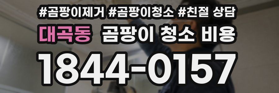 대곡동 곰팡이 청소 비용