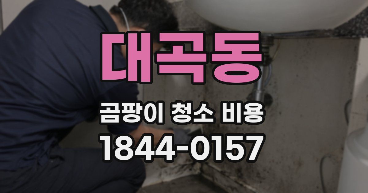 대곡동 곰팡이 청소 비용