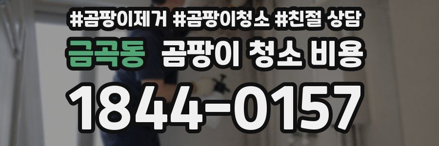금곡동 곰팡이 청소 비용