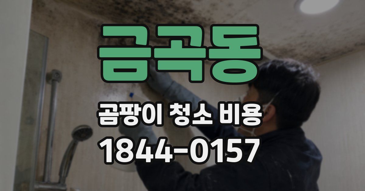 금곡동 곰팡이 청소 비용