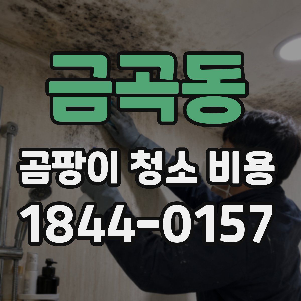 금곡동 곰팡이 청소 비용