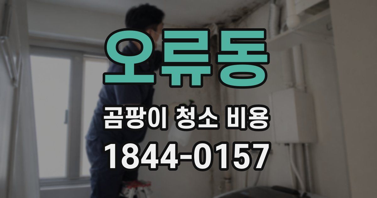오류동 곰팡이 청소 비용