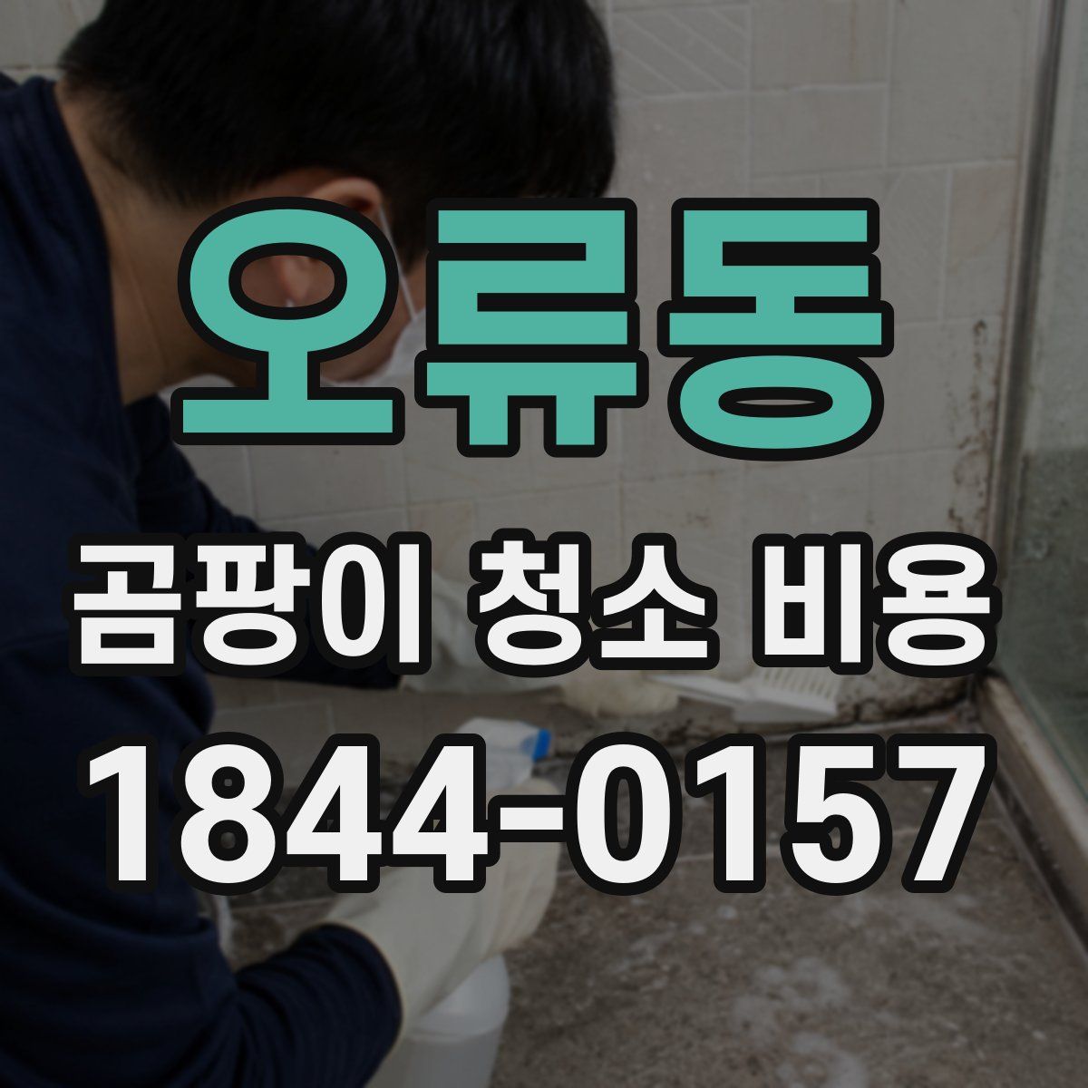 오류동 곰팡이 청소 비용
